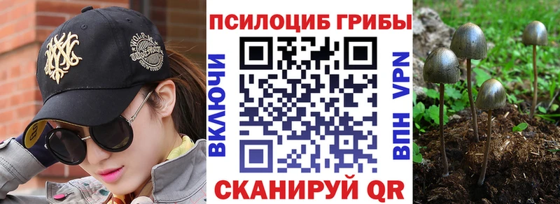 Галлюциногенные грибы Psilocybe  Боровск 